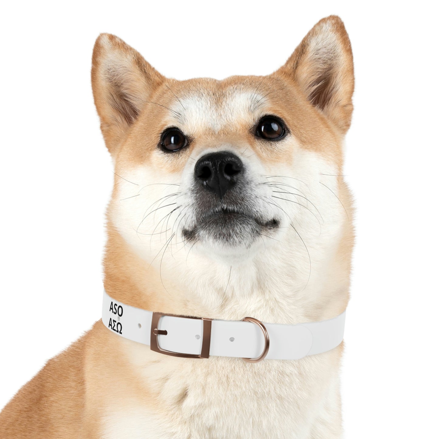ASO Dog Collar