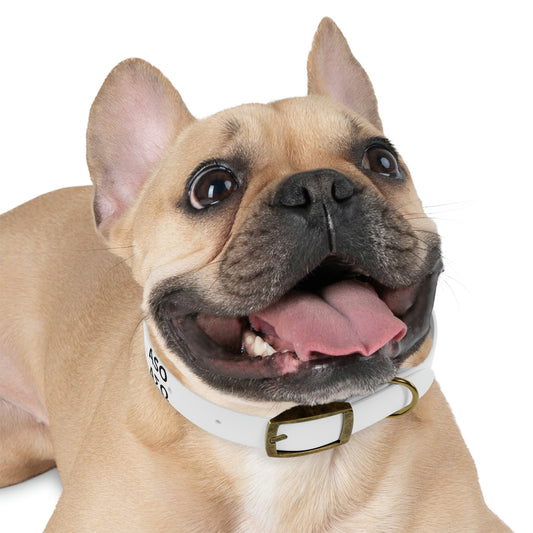 ASO Dog Collar