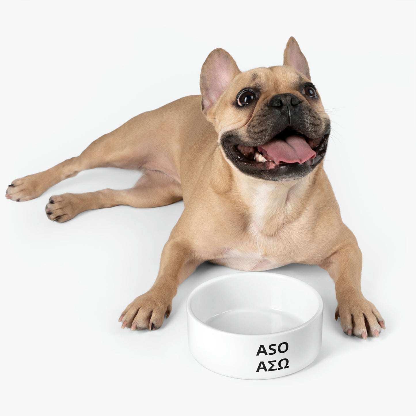 ASO Pet Bowl